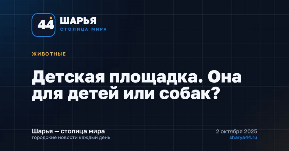 Детская площадка. Она для детей или собак? — Шарья