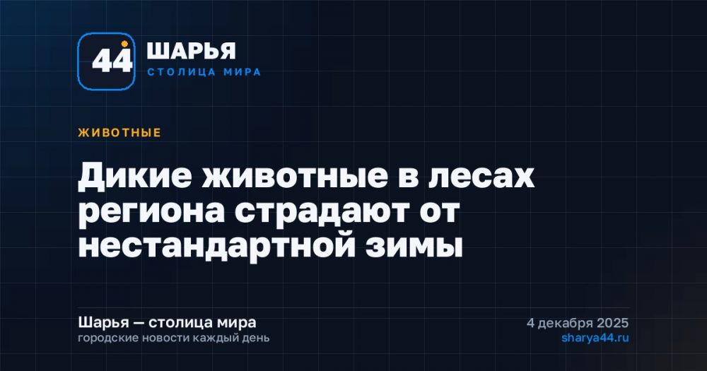 Дикие животные в лесах региона страдают от нестандартной зимы — Шарья