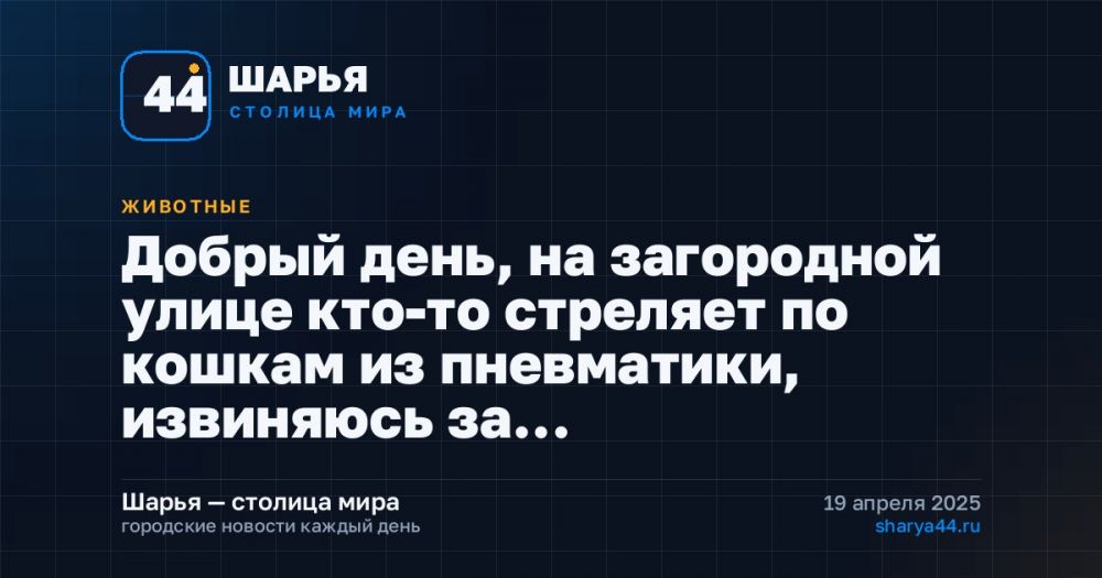 Добрый день, на загородной улице кто-то стреляет по кошкам из пневматики, извиняюсь за… — Шарья