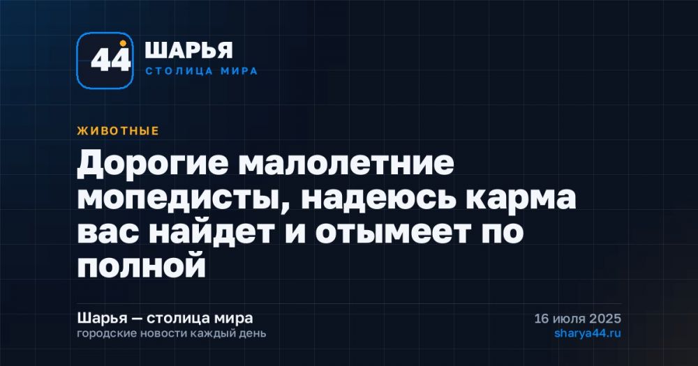 Дорогие малолетние мопедисты, надеюсь карма вас найдет и отымеет по полной — Шарья