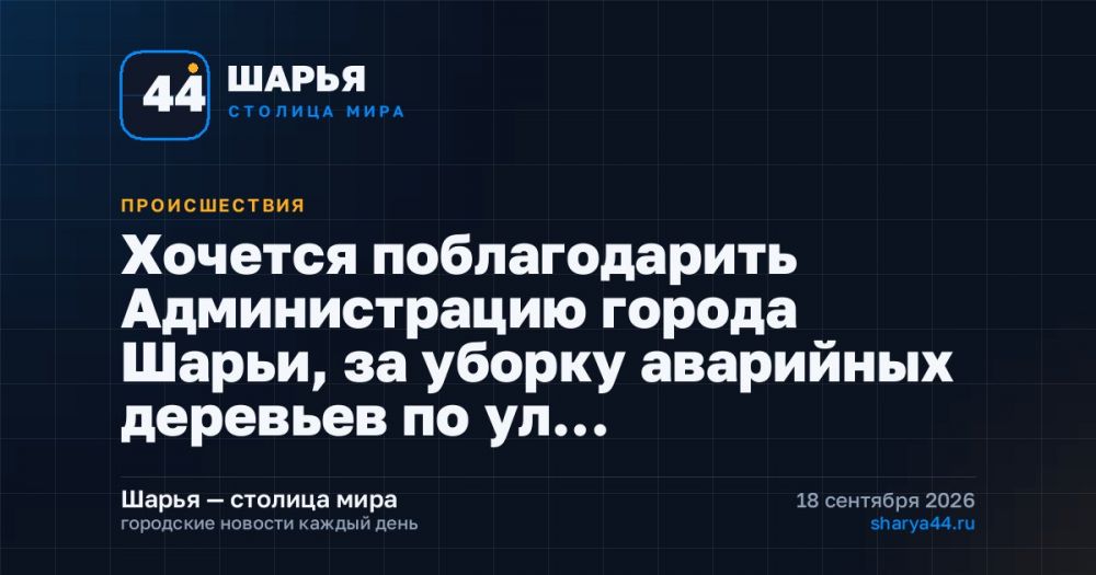 Хочется поблагодарить Администрацию города Шарьи, за уборку аварийных деревьев по ул… — Шарья