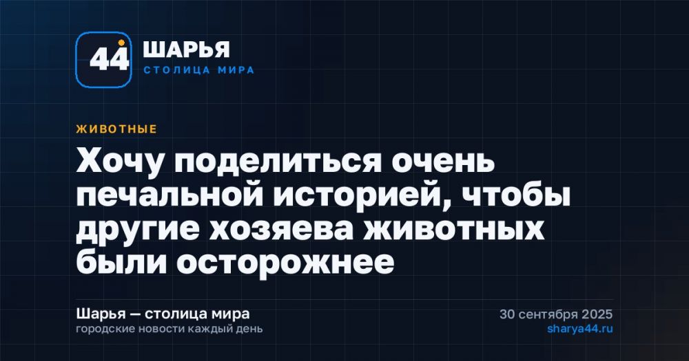 Хочу поделиться очень печальной историей, чтобы другие хозяева животных были осторожнее — Шарья