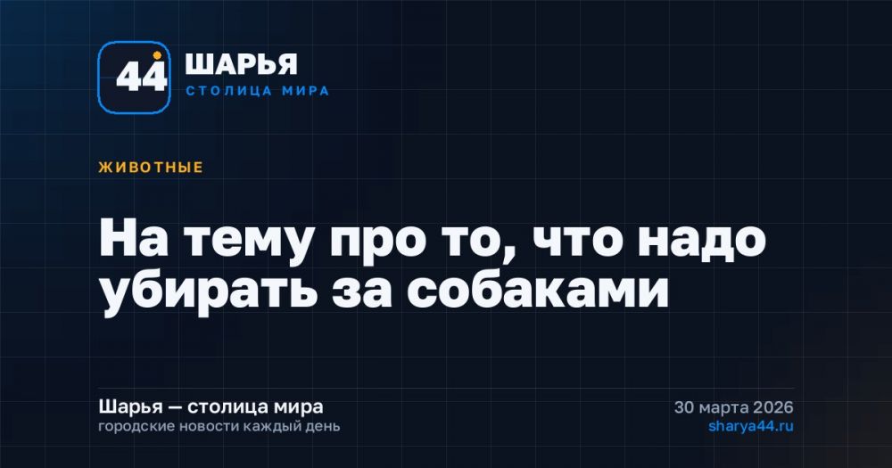 На тему про то, что надо убирать за собаками — Шарья