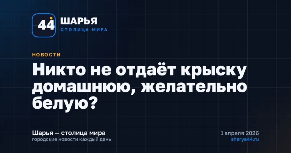Никто не отдаёт крыску домашнюю, желательно белую? — Шарья