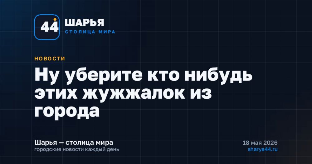 Ну уберите кто нибудь этих жужжалок из города — Шарья