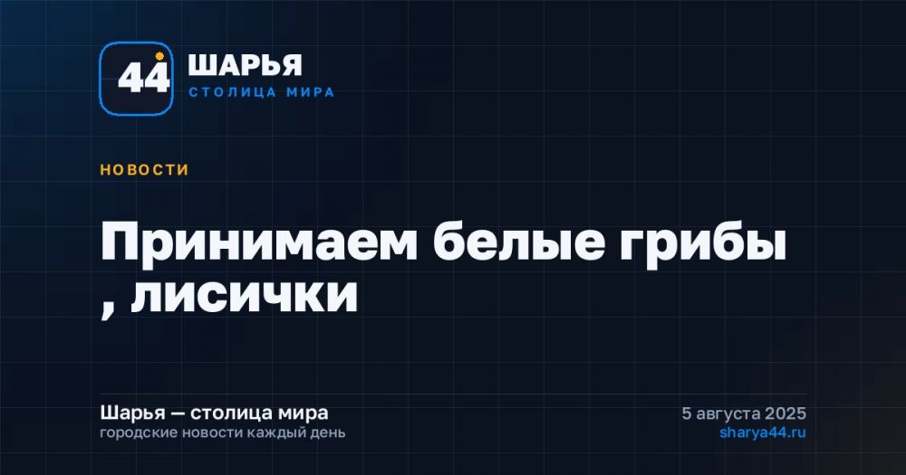 Принимаем белые грибы , лисички — Шарья