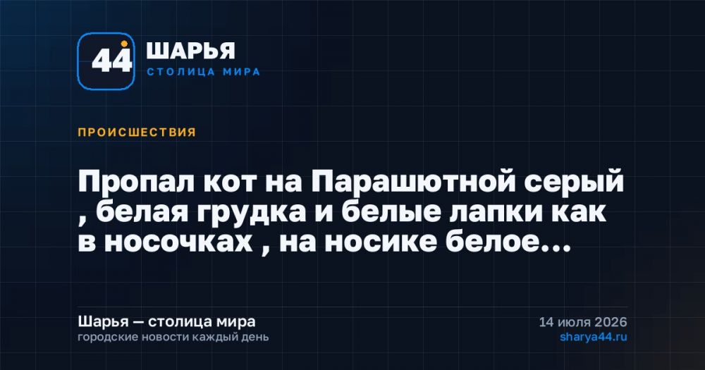 Пропал кот на Парашютной серый , белая грудка и белые лапки как в носочках , на носике белое… — Шарья