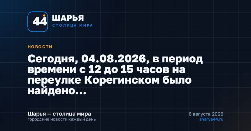 Сегодня, 04.08.2026, в период времени с 12 до 15 часов на переулке Корегинском было найдено… — Шарья