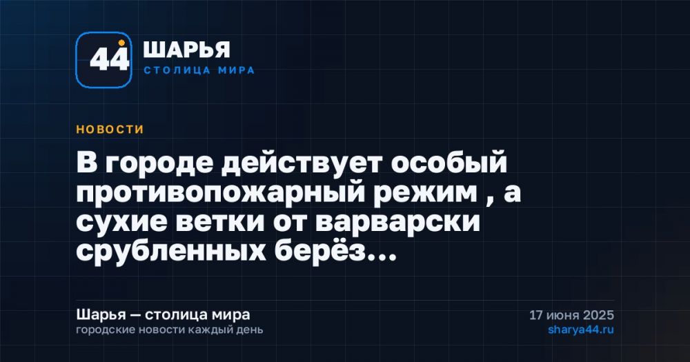 В городе действует особый противопожарный режим , а сухие ветки от варварски срубленных берёз… — Шарья