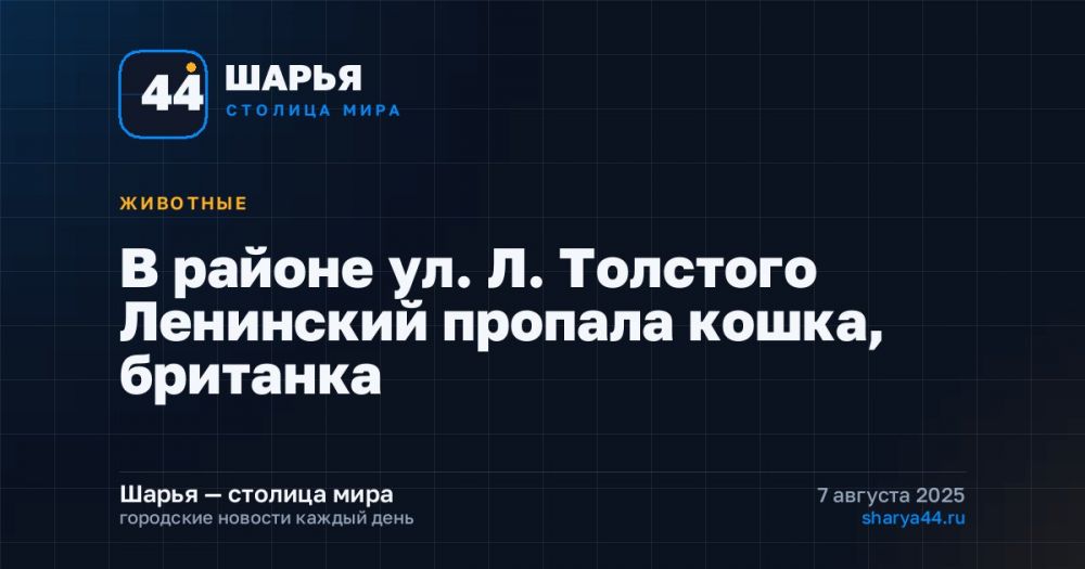 В районе ул. Л. Толстого Ленинский пропала кошка, британка — Шарья