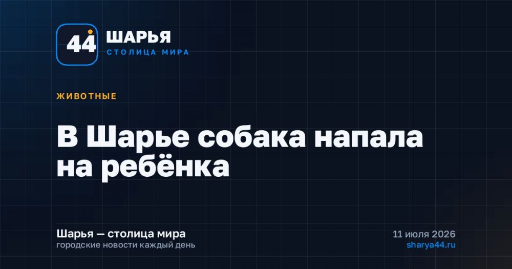 В Шарье собака напала на ребёнка — Шарья