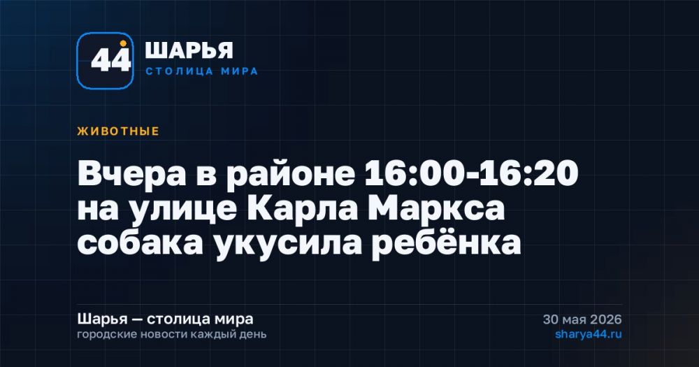 Вчера в районе 16:00-16:20 на улице Карла Маркса собака укусила ребёнка — Шарья