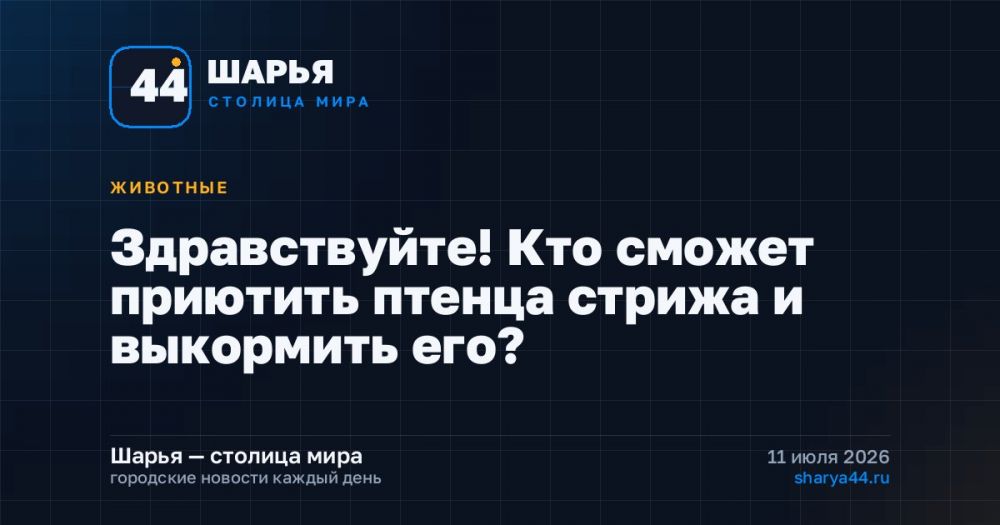 Здравствуйте! Кто сможет приютить птенца стрижа и выкормить его? — Шарья