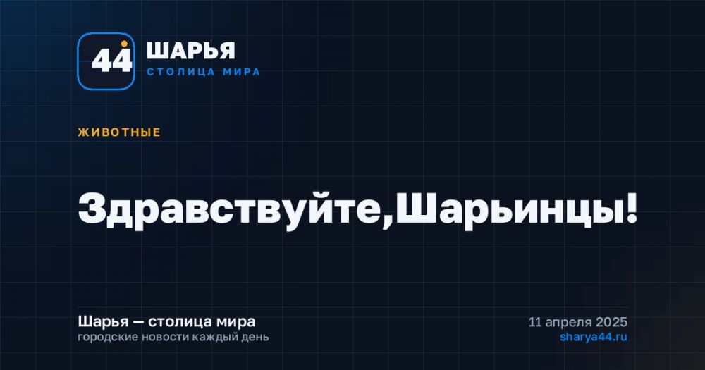 Здравствуйте,Шарьинцы! — Шарья