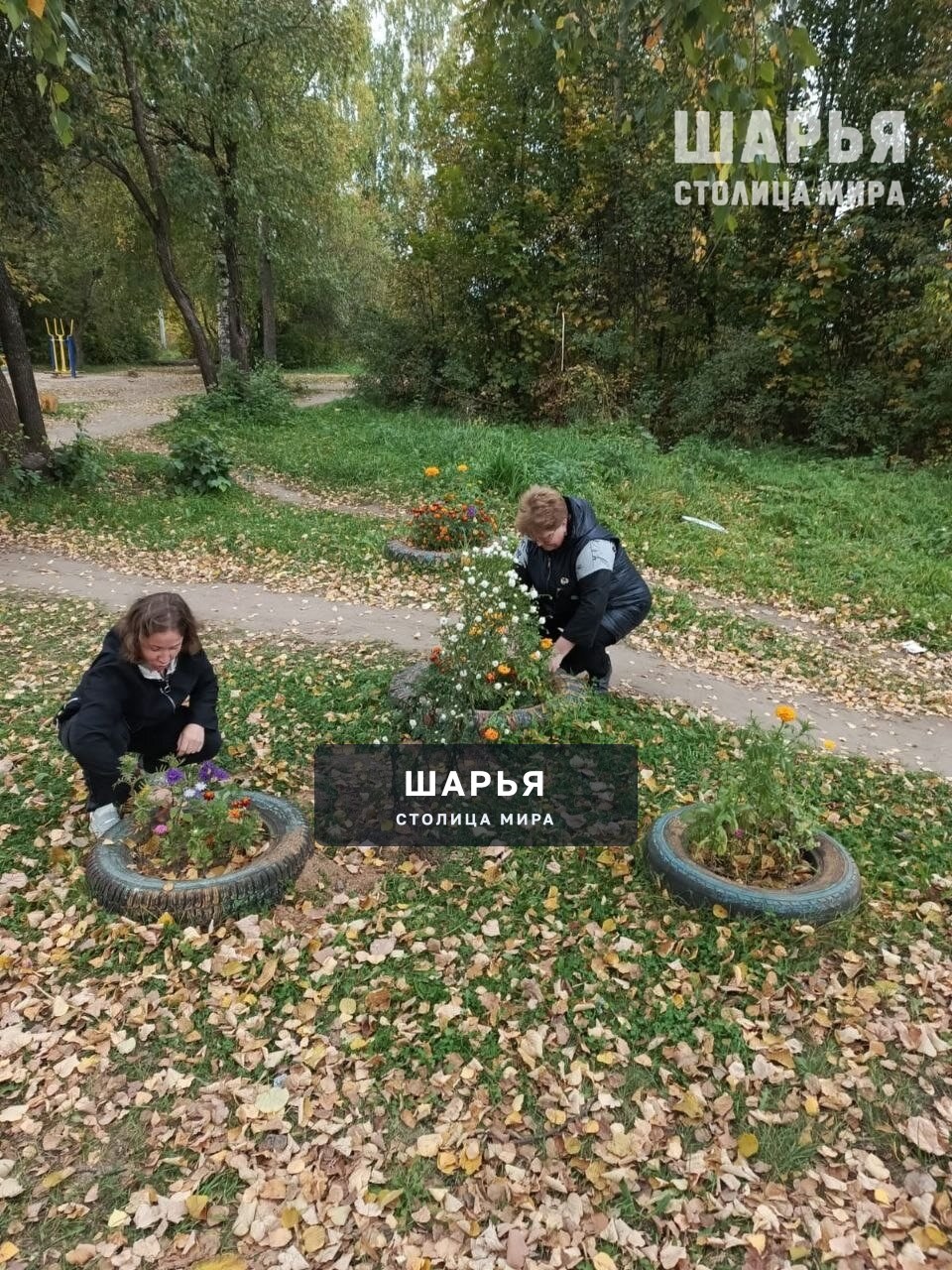 Традиционный осенний субботник провели сотрудники Шарьинской библиотечной системы — Шарья — фото 3