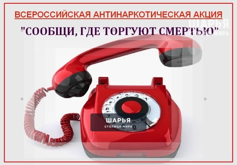 Шарья вновь присоединяется к Всероссийской акции "Сообщи, где торгуют смертью!"