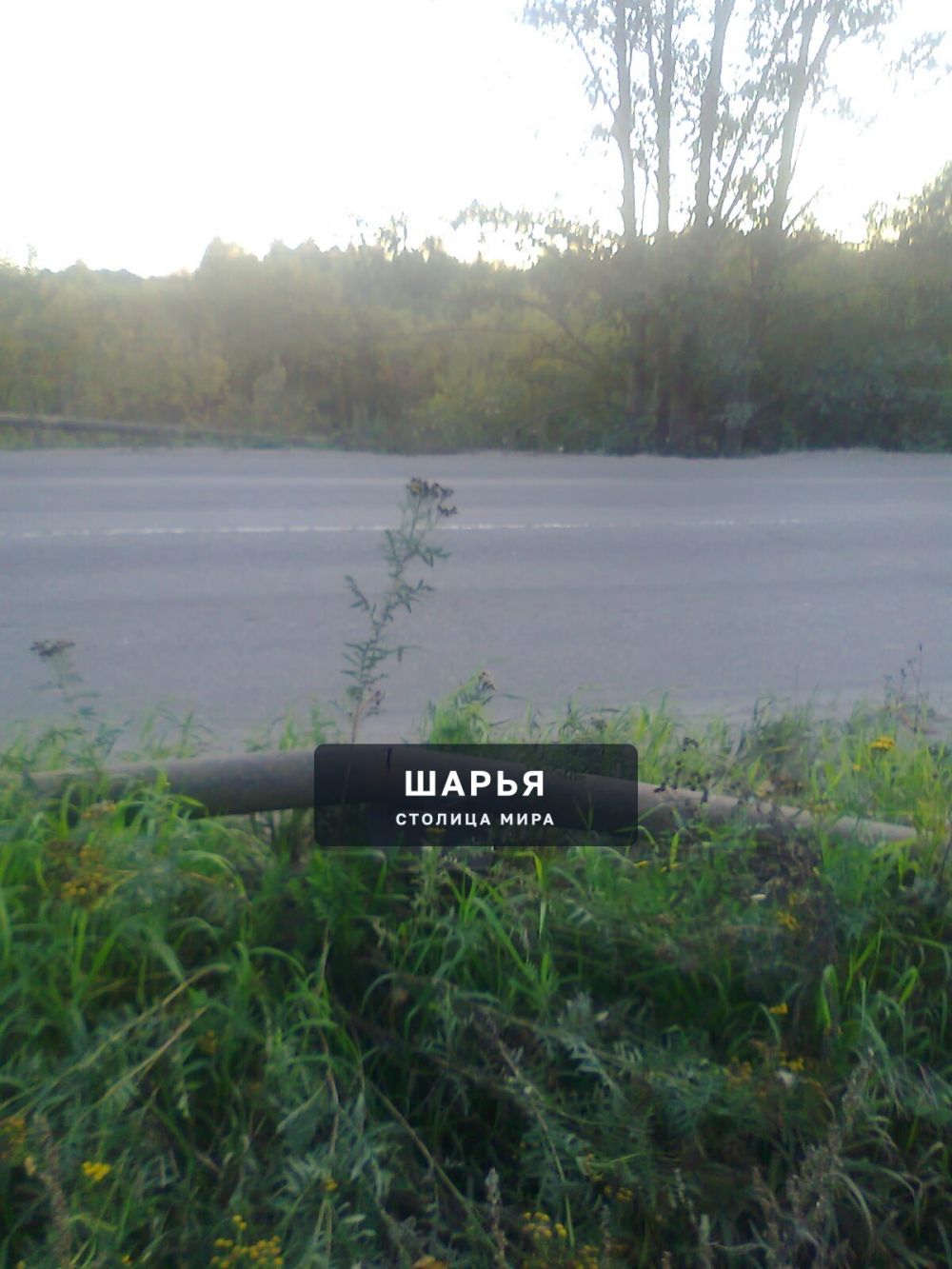 Публикация «Отсутствие ограждений на мосту через речку Шолешка» — Шарья — фото 4