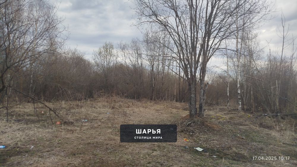 Раньше, когда здесь стояли старые гаражи, все люди "любовались" ими — Шарья — фото 2
