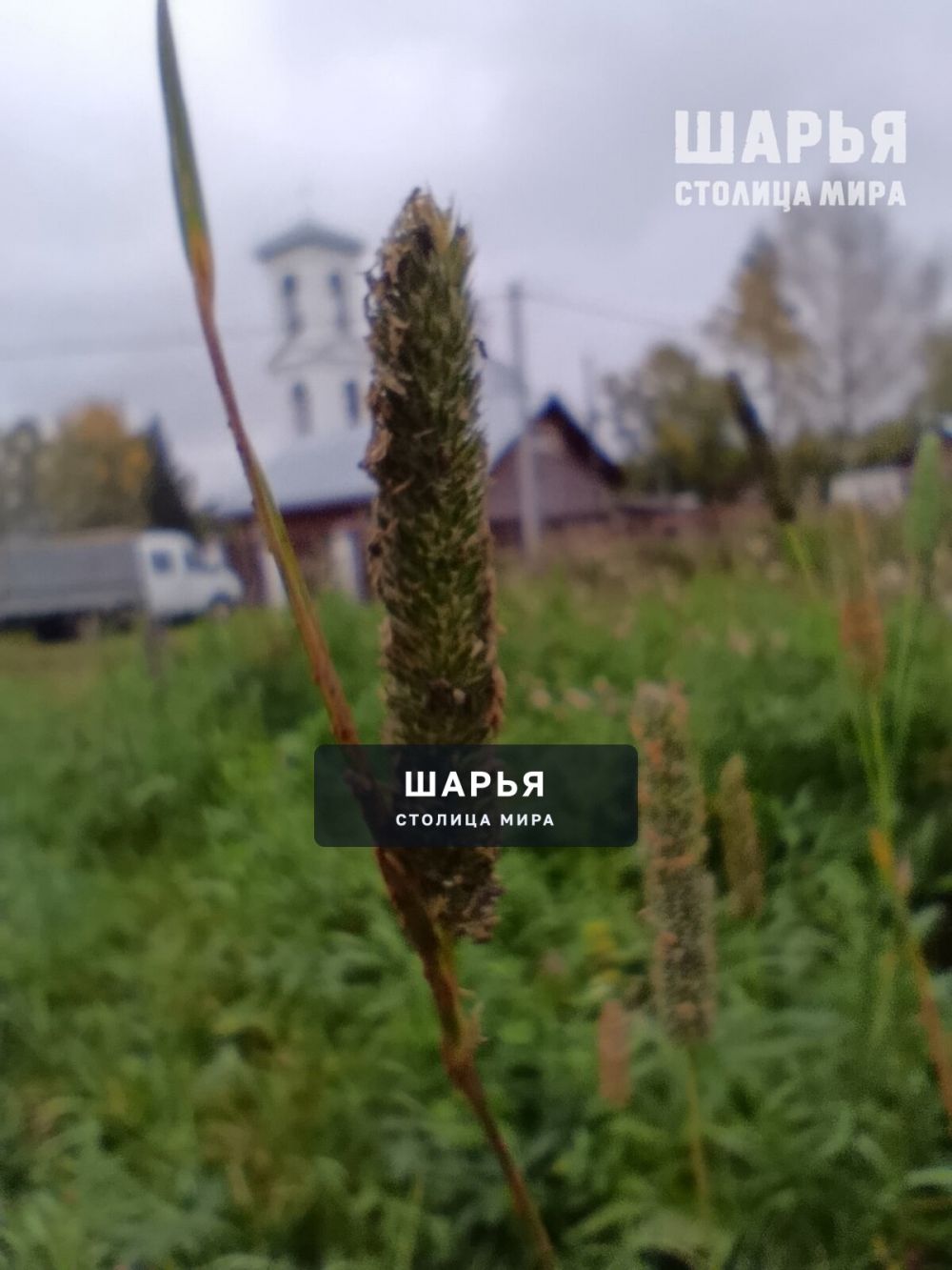 Новость из Шарьи — Шарья