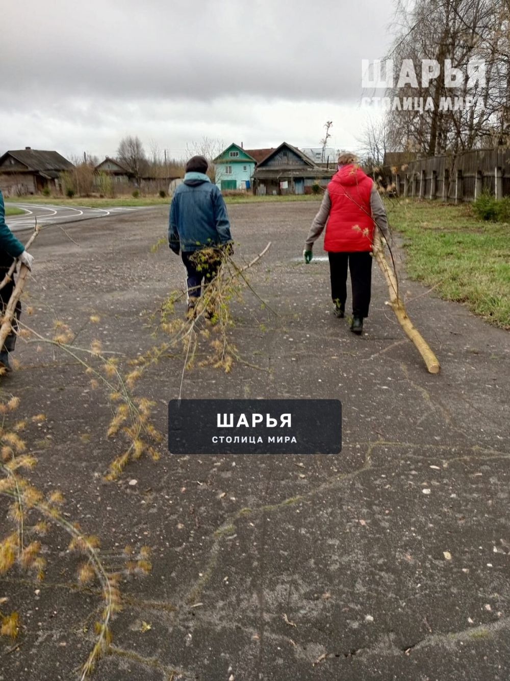26 апреля коллектив МБУ ДО СШОР г. Шарья приняли участие во "Всероссийском субботнике 2025 " — фото 6