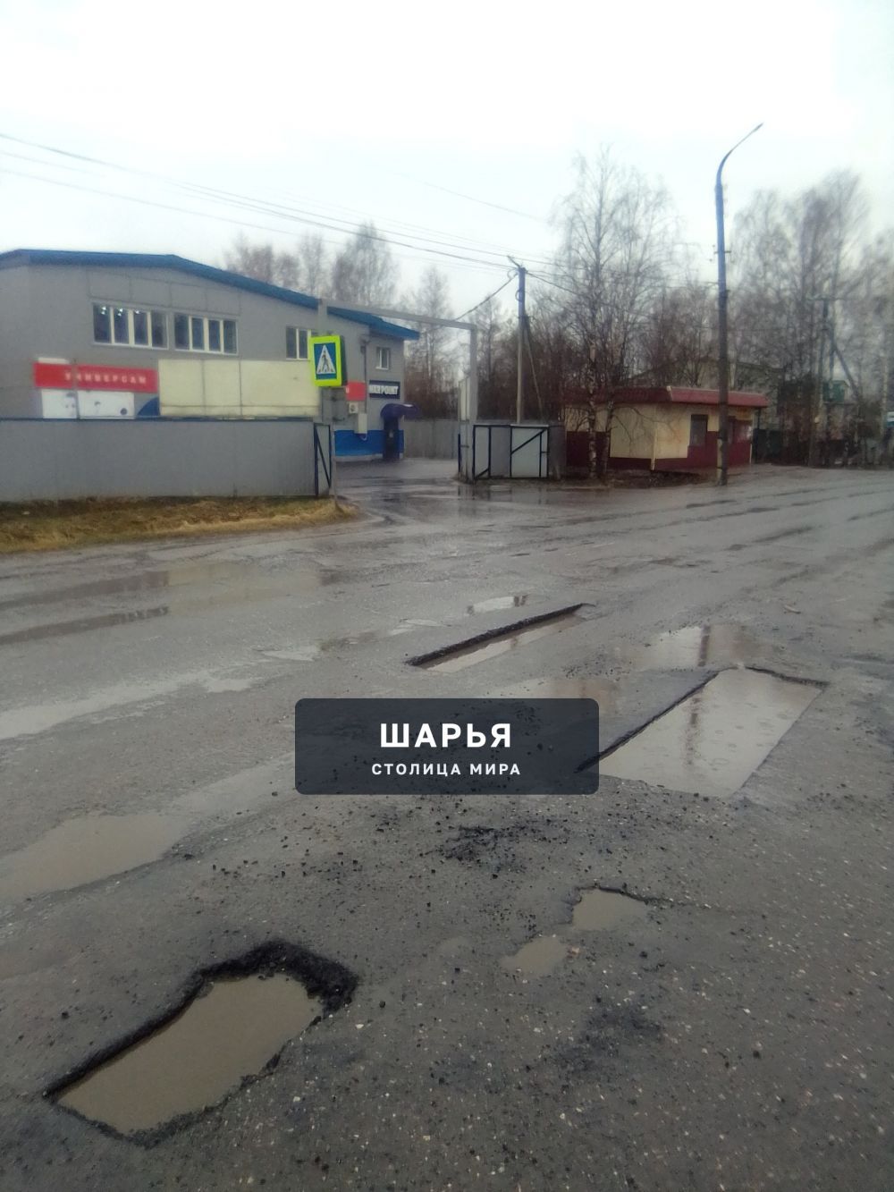 Публикация «Дорожные вредители» — Шарья — фото 2