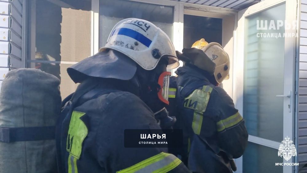Почти 30 возгораний сухой травы зафиксировано за неделю в регионе — Шарья