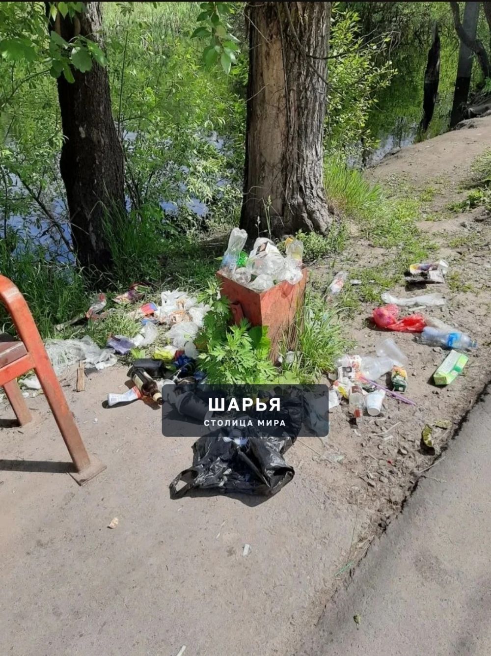 Шарьинцы - свиньи — Шарья
