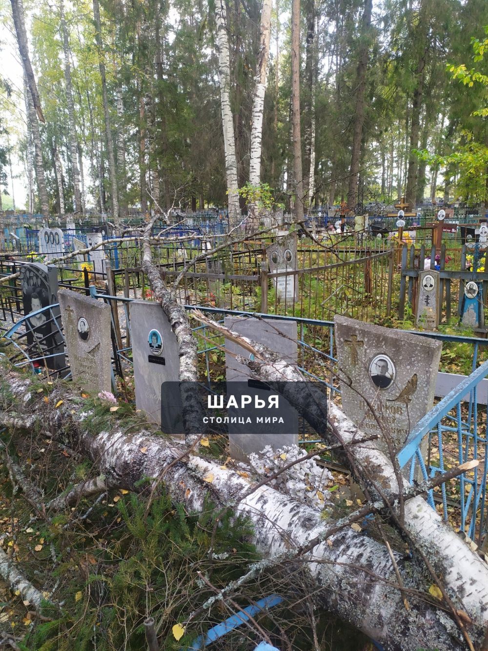 Добрый день жители города Шарья — фото 6