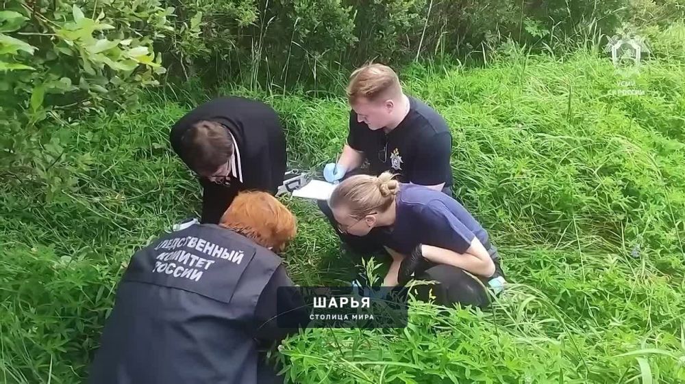 ‼ МАНЬЯКА ИЩУТ ПОД ПЕТЕРБУРГОМ — 12-летняя девочка ушла за грибами, а нашли её с ножевыми… — Шарья