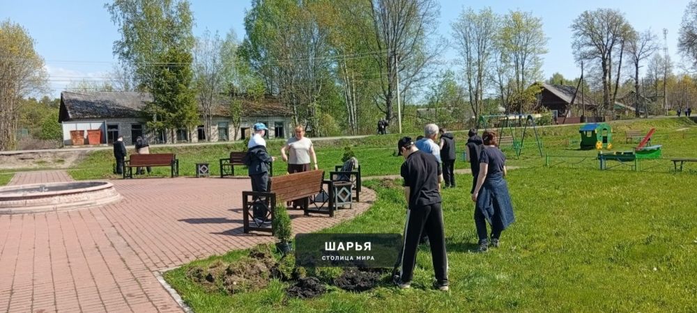 Молодежь Шарьи и Шарьинского района высаживает молодые деревья — Шарья — фото 5