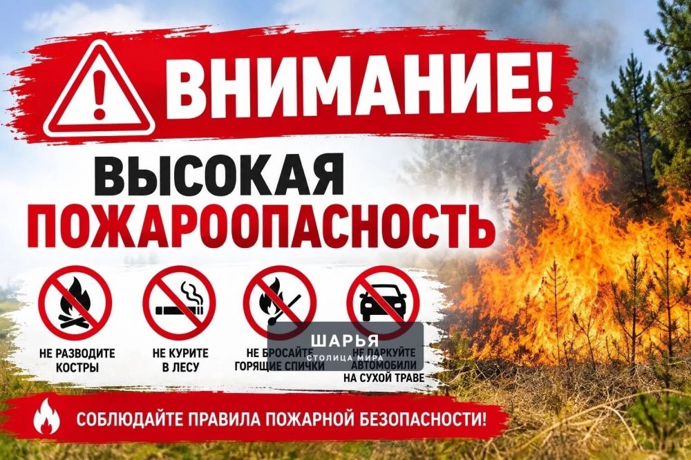 В Костромской области ожидается высокая пожароопасность — Шарья
