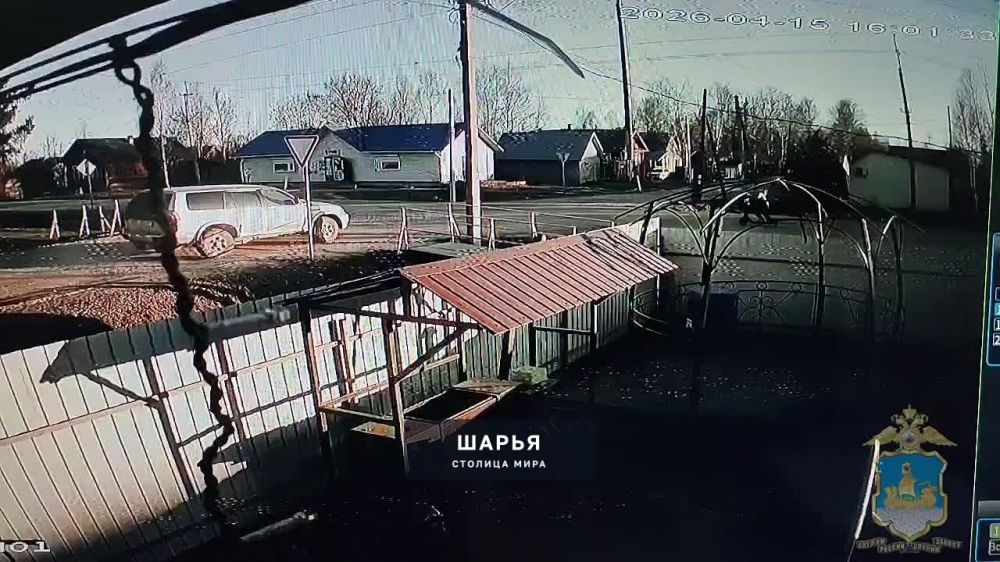 Госавтоинспекция Шарьи устанавливает обстоятельства ДТП, в котором пострадал… — Шарья
