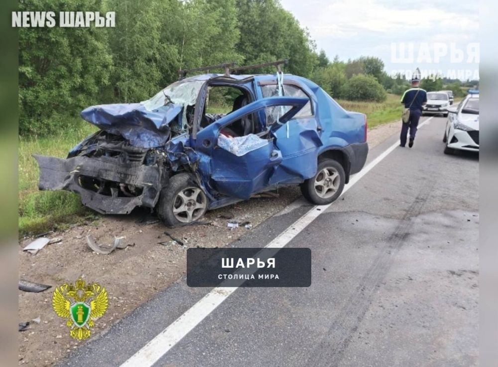 Очередное смертельное ДТП в регионе — Шарья