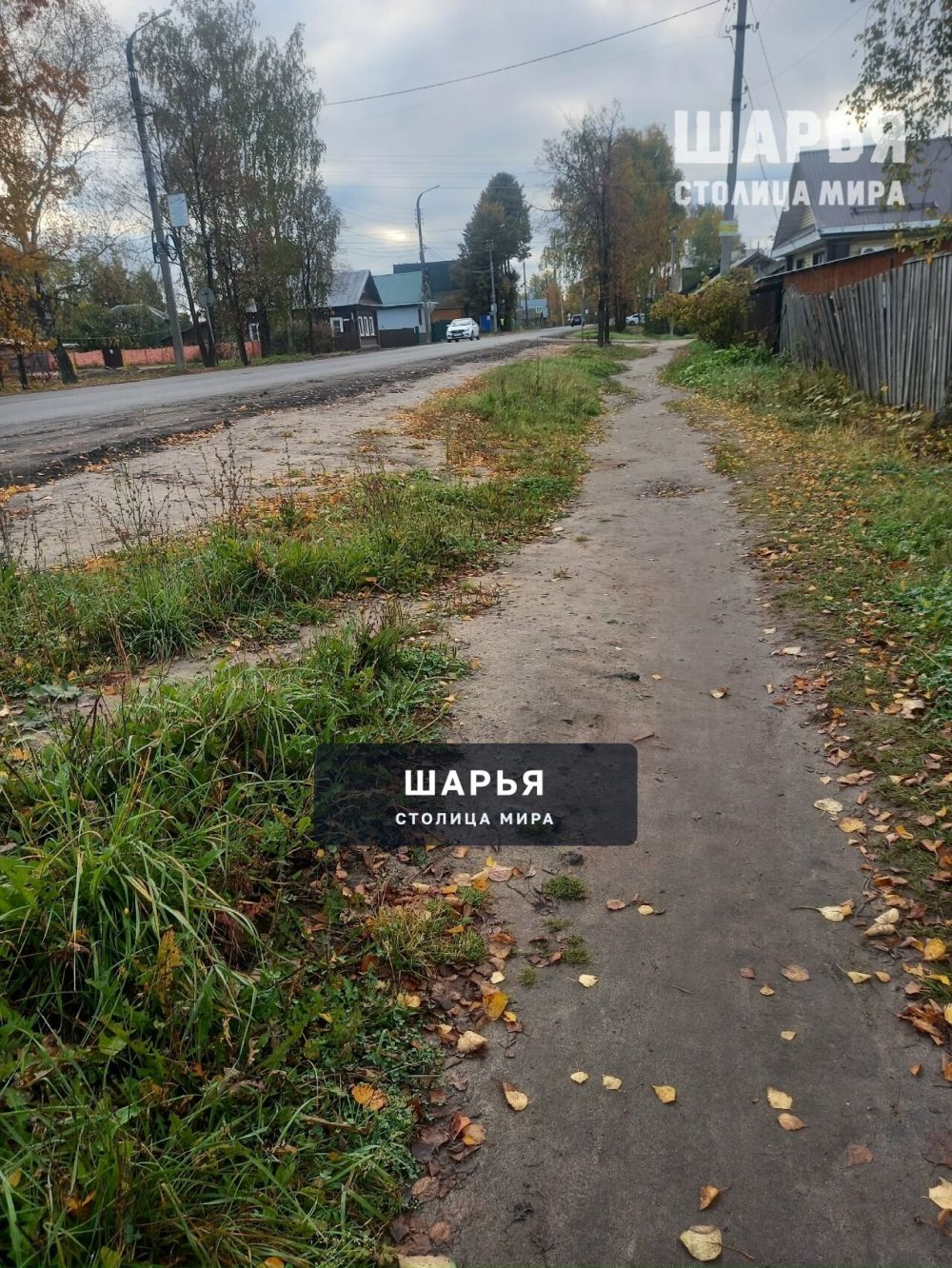 На тротуары асфальта не хватило? — Шарья