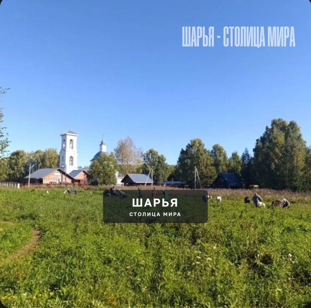 История забытой церкви на реке Ветлуге, и редкого примера русского меценатства, вернувшего ей… — Шарья — фото 3