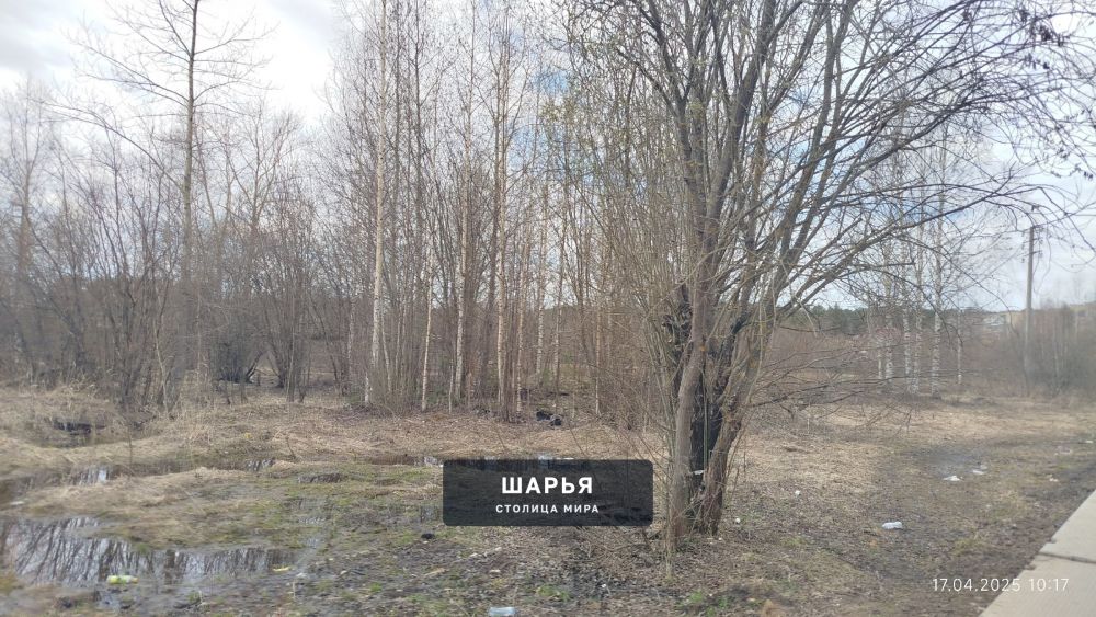 Раньше, когда здесь стояли старые гаражи, все люди "любовались" ими — Шарья — фото 5