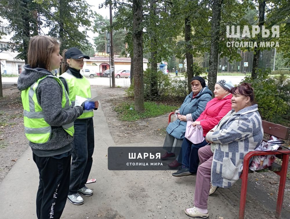 Не отвлекайся, переходя дорогу! — Шарья — фото 5