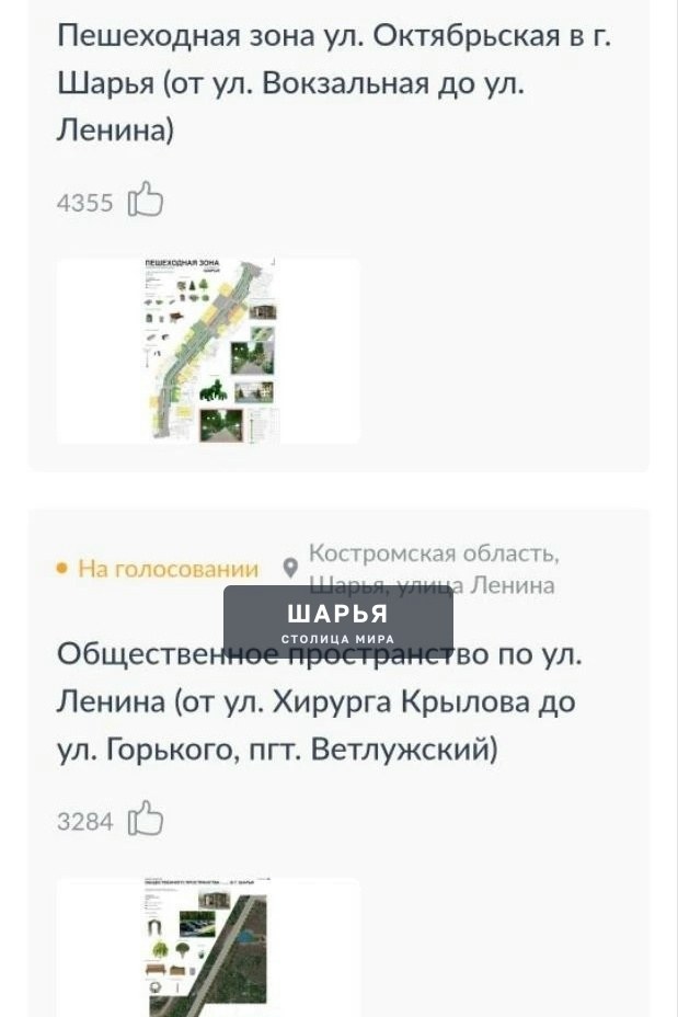 Онлайн голосование подходит к концу — Шарья
