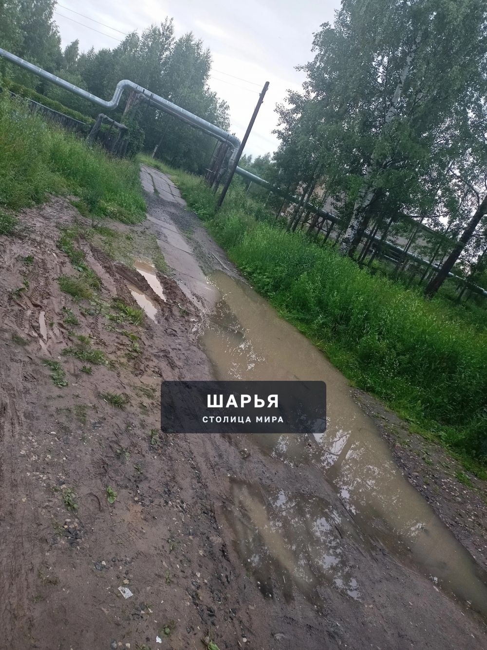 Уважаемая администрация города Шарьи, подскажите пожалуйста как вот здесь можно пройти… — Шарья — фото 2