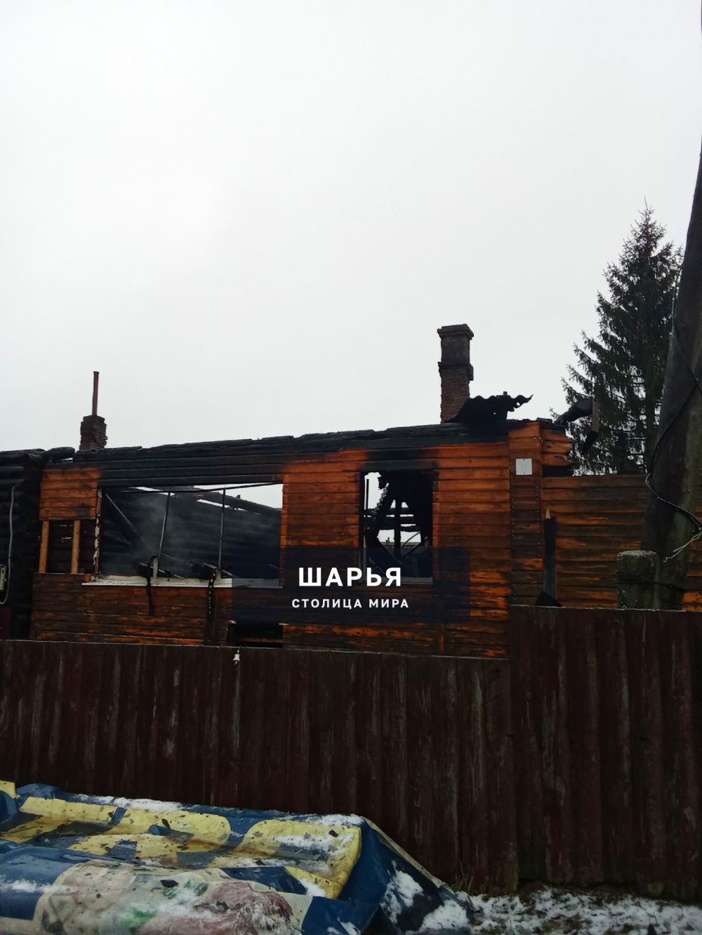 Дорогие друзья! — Шарья