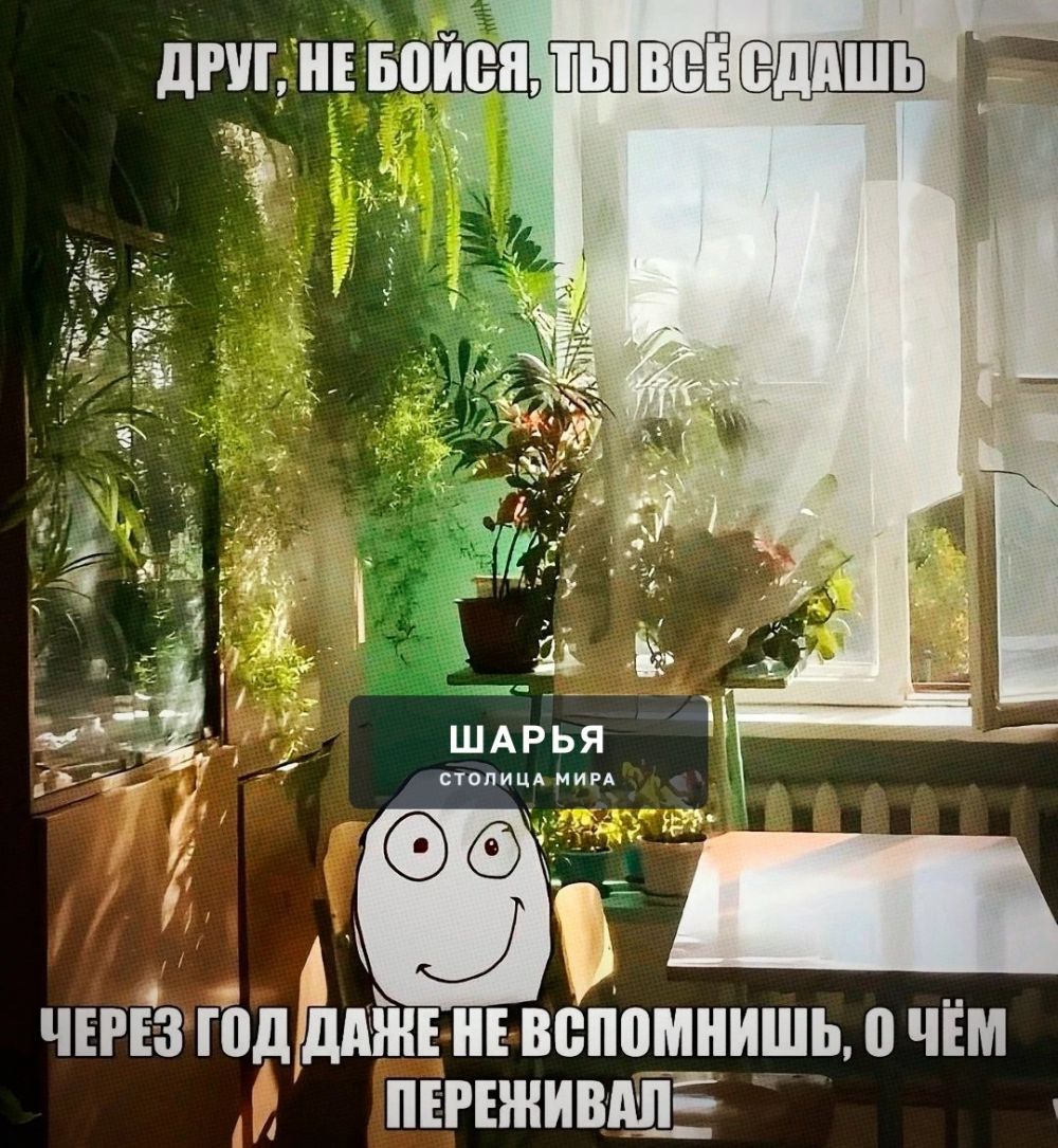 Вам послание — Шарья