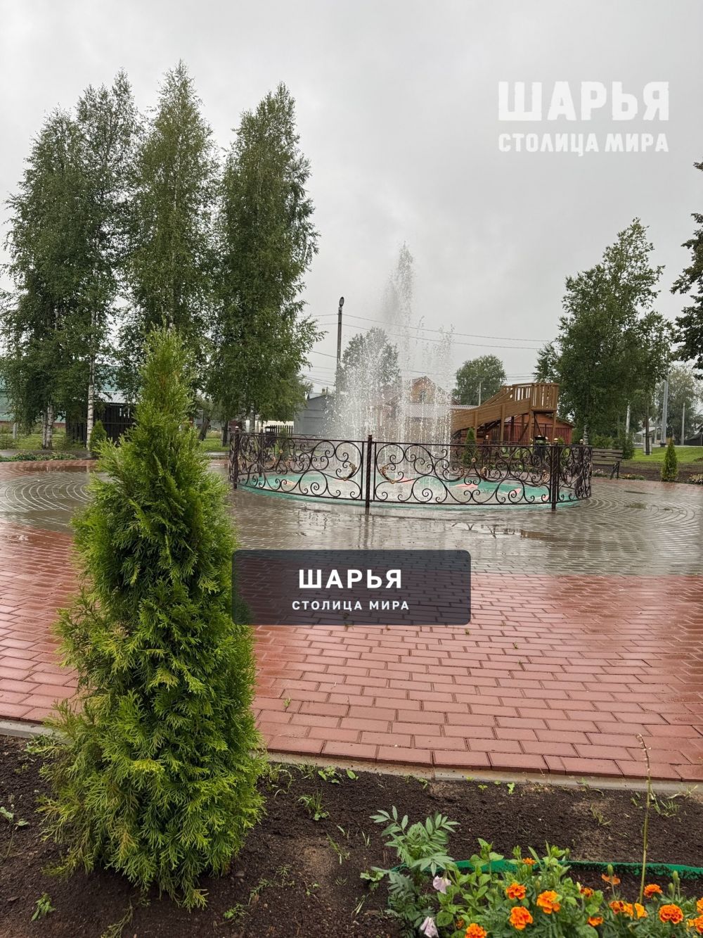 П. Зебляки — Шарья — фото 2