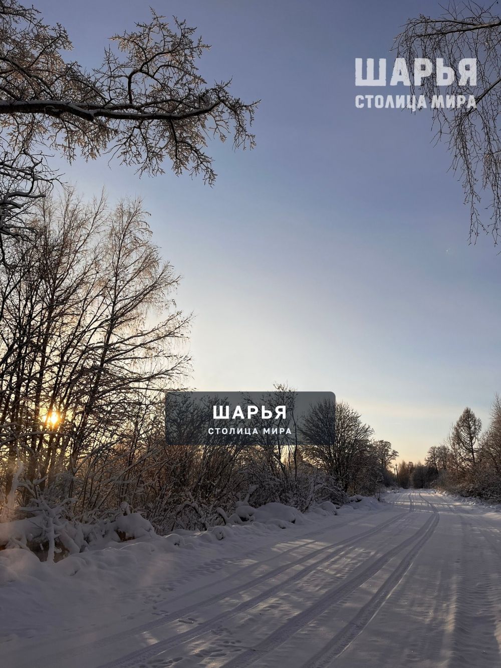 Новость из Шарьи — Шарья — фото 3