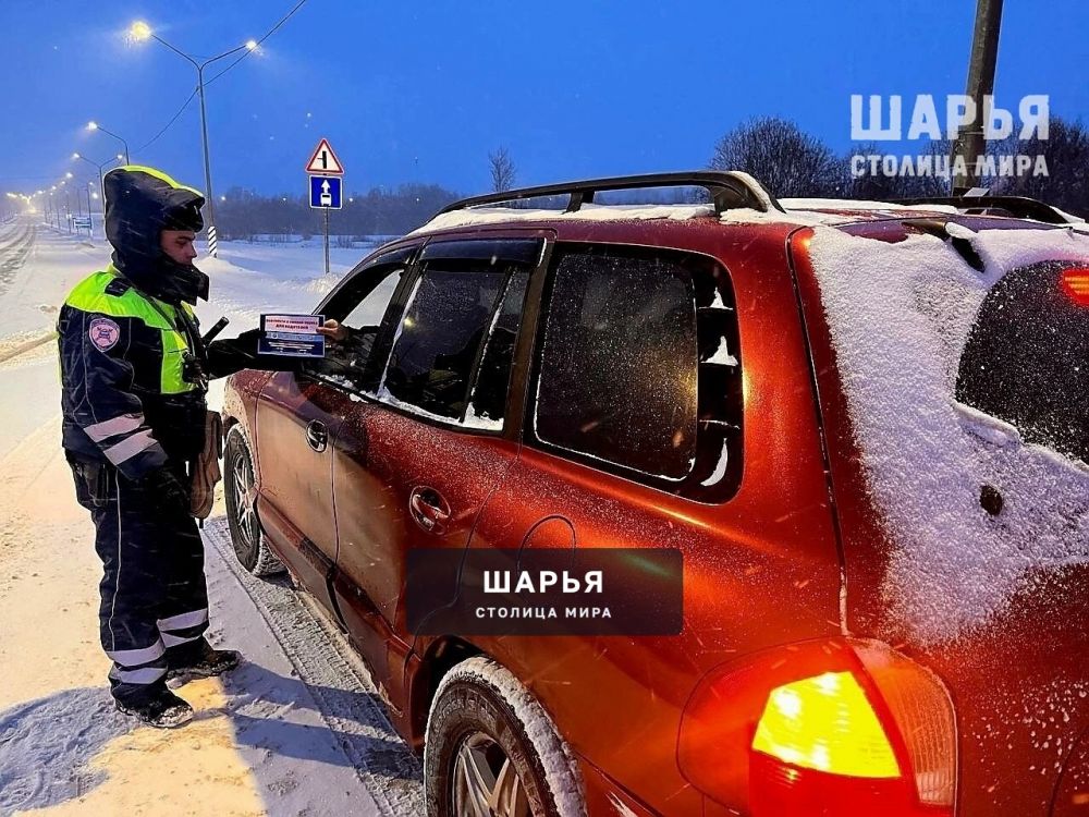 Автоинспекторы подвели итоги дополнительных рейдов — Шарья — фото 6
