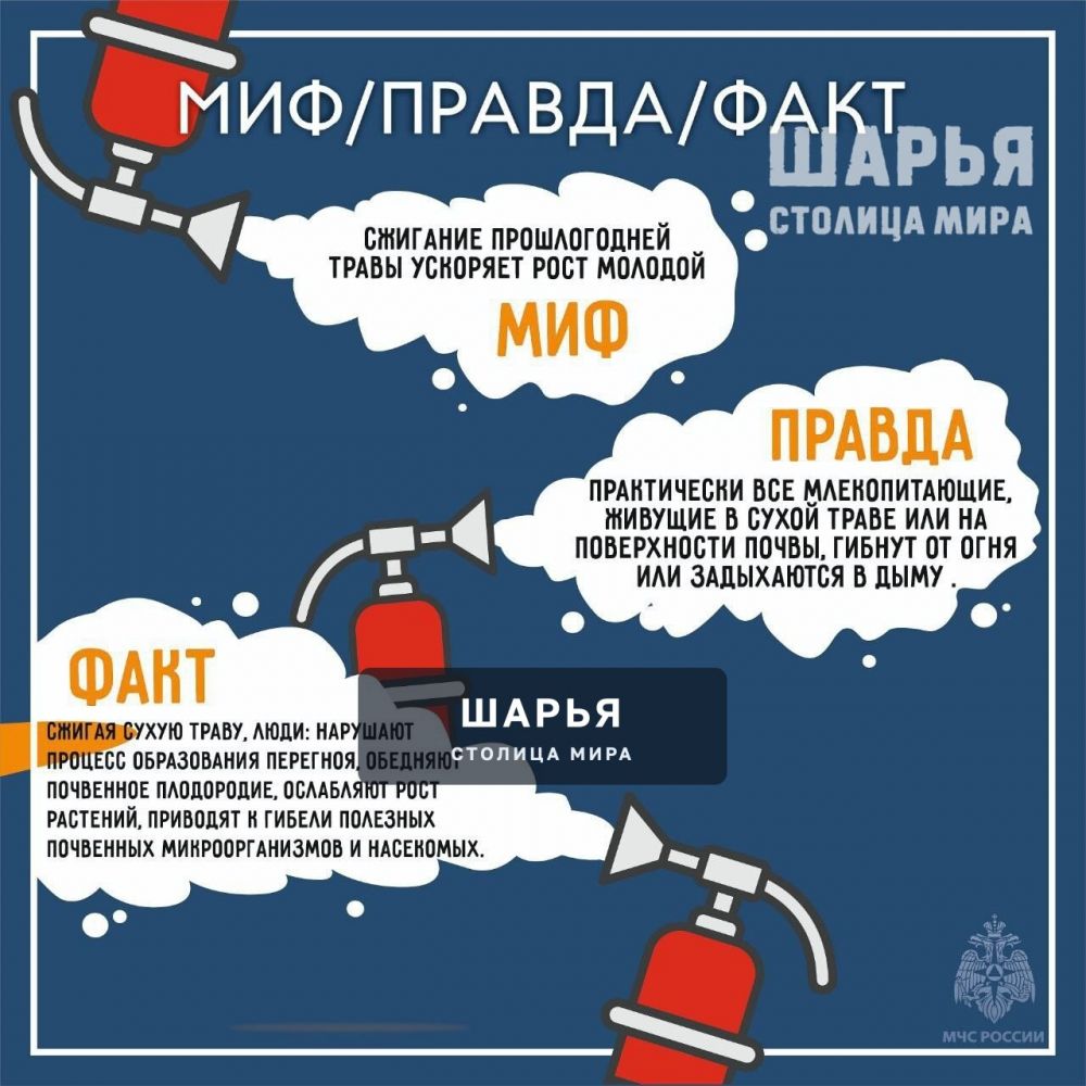 Пал травы в регионе происходит ежедневно — Шарья — фото 9