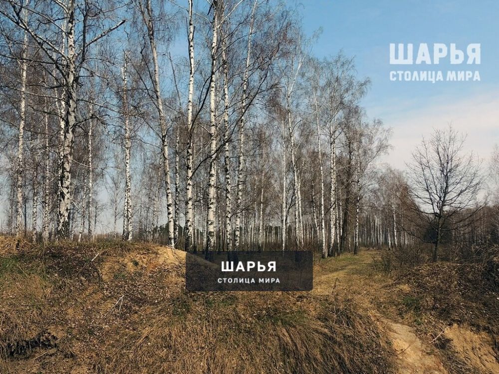 Региональные власти обсудили наступившее резкое потепление — Шарья