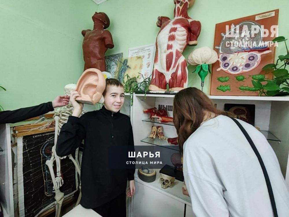 Профориентация школьников в Шарье - регулярная практика — Шарья — фото 5