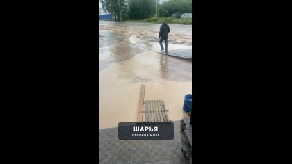 Добрый день, администрация города! — Шарья