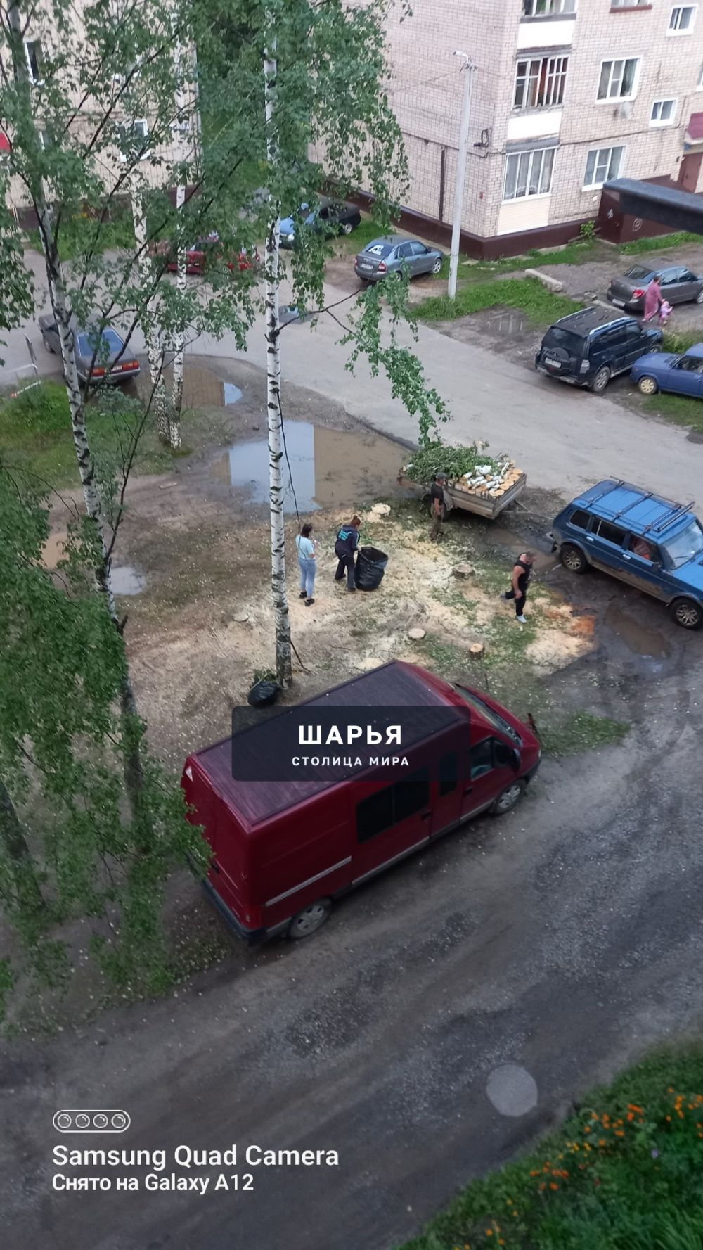 Как остановить это варваство? — Шарья