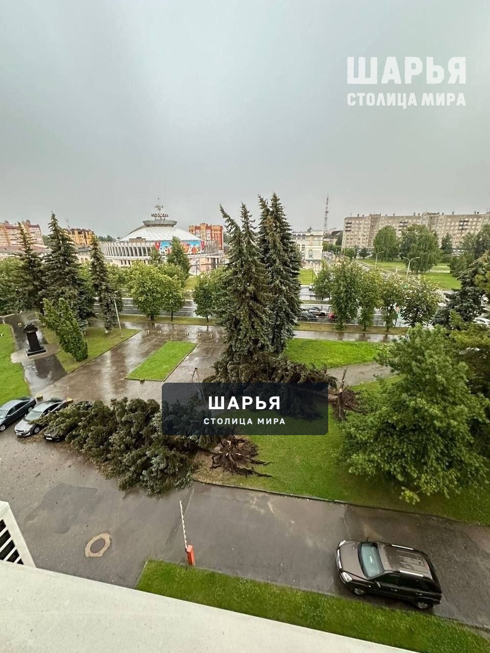 Разрушительная сила урагана в Костроме — Шарья — фото 4